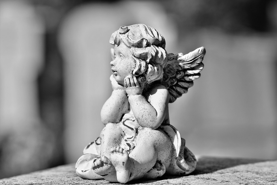 The Impact of the Angel of Donations on Charitable Organizations